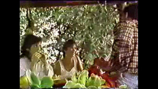 порно видео 5049
